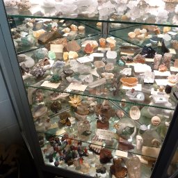 Display Case.jpg