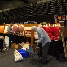 6 Setting up display cases.jpg