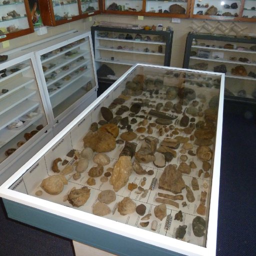 Glen Steen Fossil collection & Minerals Room